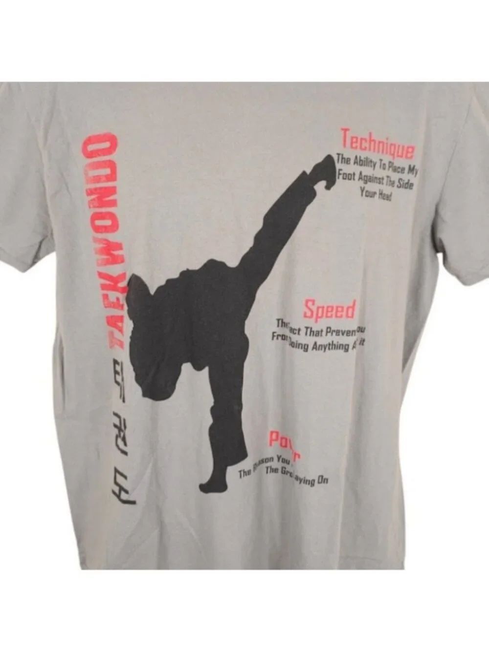 Taekwondo T Shirt Mens Size Large Gray Martial Arts Technique Speed Power